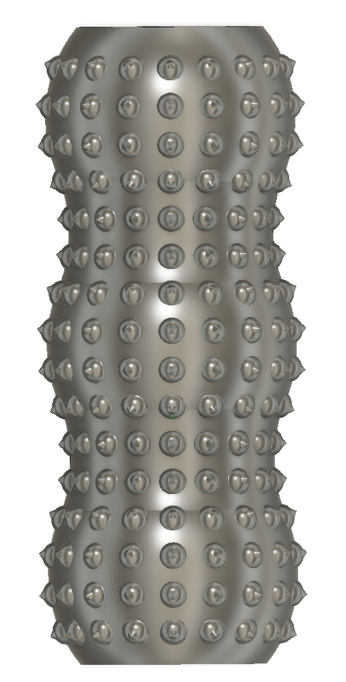 FastienRolle